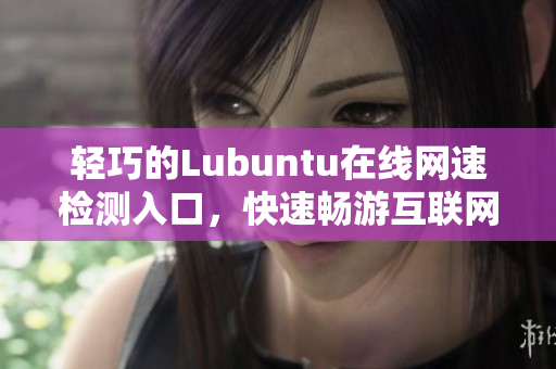 輕巧的Lubuntu在線網速檢測入口，快速暢游互聯網