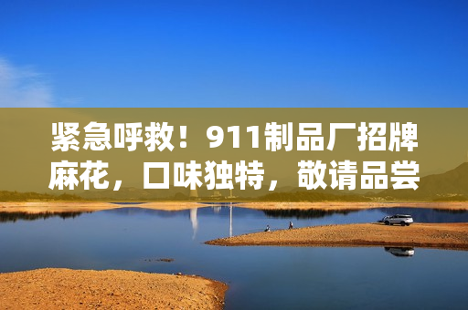 緊急呼救！911制品廠招牌麻花，口味獨特，敬請品嘗
