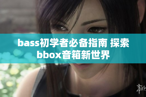 bass初學者必備指南 探索bbox音箱新世界