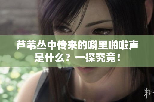 蘆葦叢中傳來的噼里啪啦聲是什么？一探究竟！