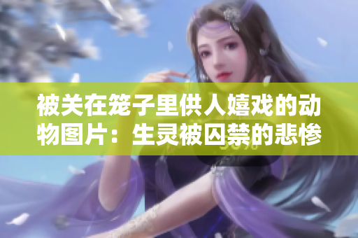 被關(guān)在籠子里供人嬉戲的動(dòng)物圖片：生靈被囚禁的悲慘命運(yùn)