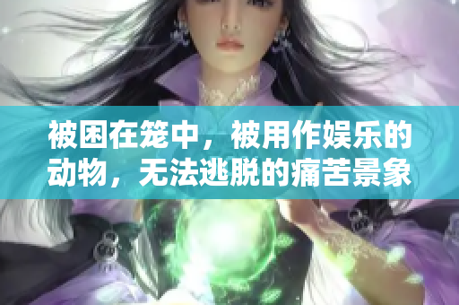 被困在籠中，被用作娛樂(lè)的動(dòng)物，無(wú)法逃脫的痛苦景象