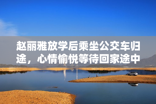 趙麗雅放學(xué)后乘坐公交車歸途，心情愉悅等待回家途中發(fā)生的故事