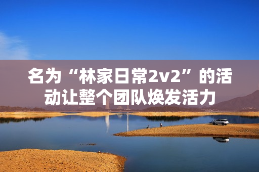 名為“林家日常2v2”的活動(dòng)讓整個(gè)團(tuán)隊(duì)煥發(fā)活力